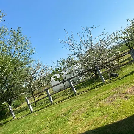 Maison De La Tranquillite 12 Personnes Maxi Avec Doncieres