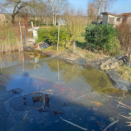 Maison De La Tranquillite 12 Personnes Maxi Avec