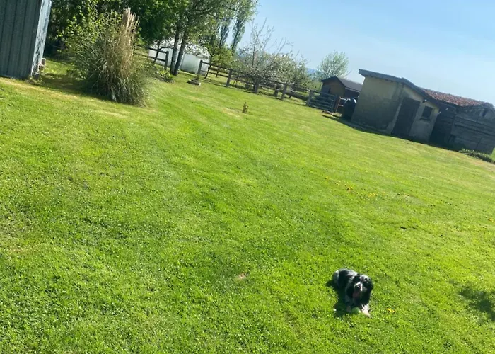 Maison De La Tranquillite 12 Personnes Maxi Avec Holiday home *