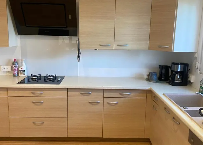 Maison De La Tranquillite 12 Personnes Maxi Avec Holiday home Doncieres