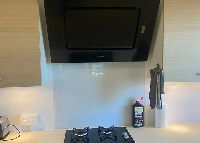 Holiday home Maison De La Tranquillite 12 Personnes Maxi Avec