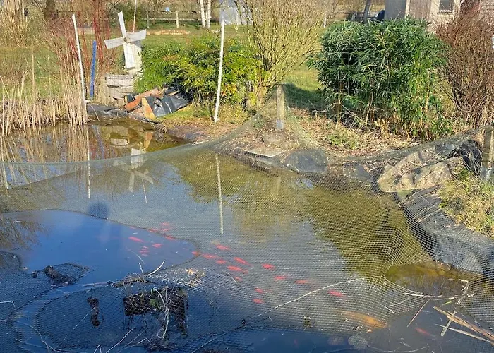 Maison De La Tranquillite 12 Personnes Maxi Avec